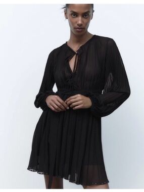 Black Pleated Zara Long-Sleeve Pleated Mini Dress